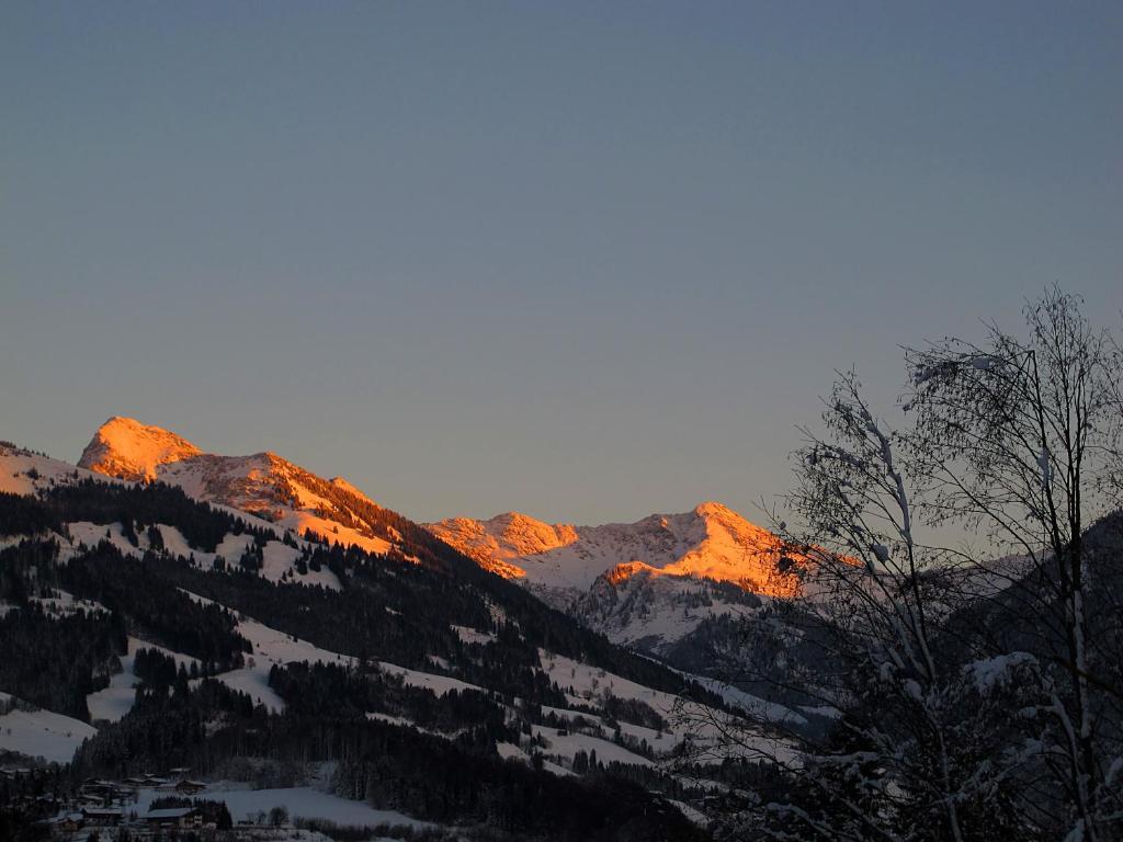 Apartment Haus Schatz Kitzbühel Chambre photo